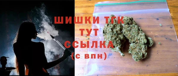 винт Бородино