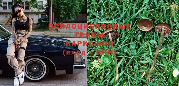 винт Бородино