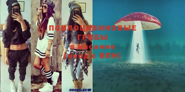 винт Бородино