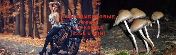 наркотики Бронницы