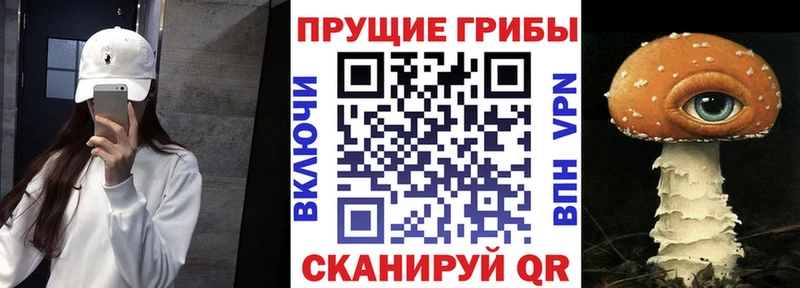 наркота  Тбилисская  Галлюциногенные грибы MAGIC MUSHROOMS 